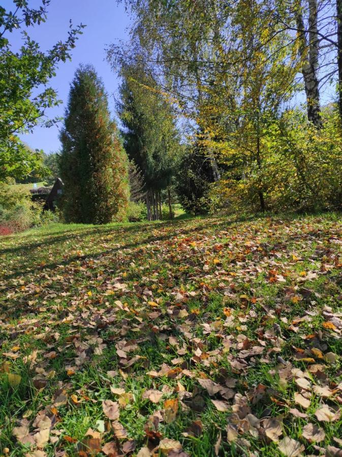 Za Potokiem Villa Solina  Luaran gambar