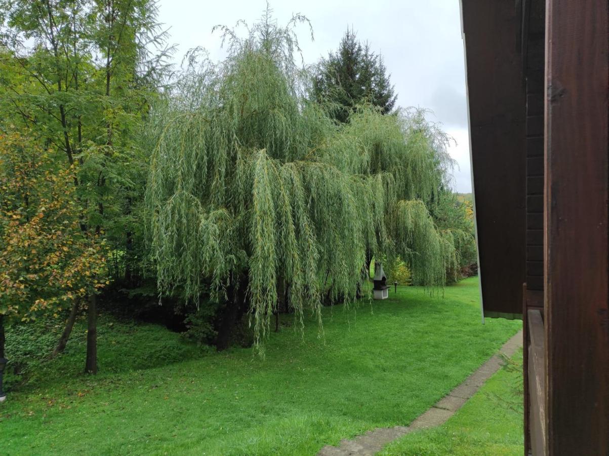 Za Potokiem Villa Solina  Luaran gambar
