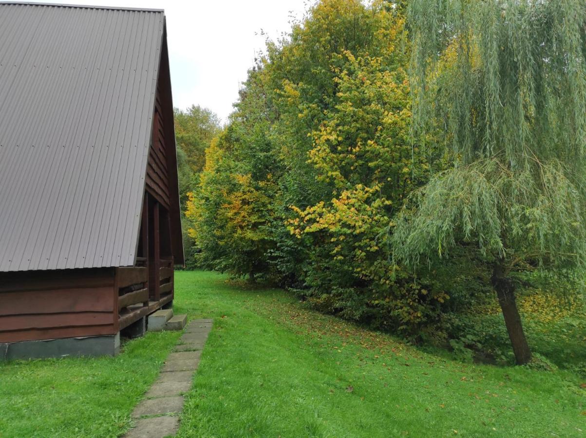 Za Potokiem Villa Solina  Luaran gambar