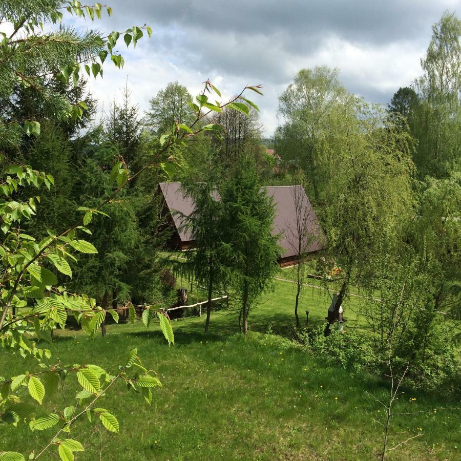 Za Potokiem Villa Solina  Luaran gambar